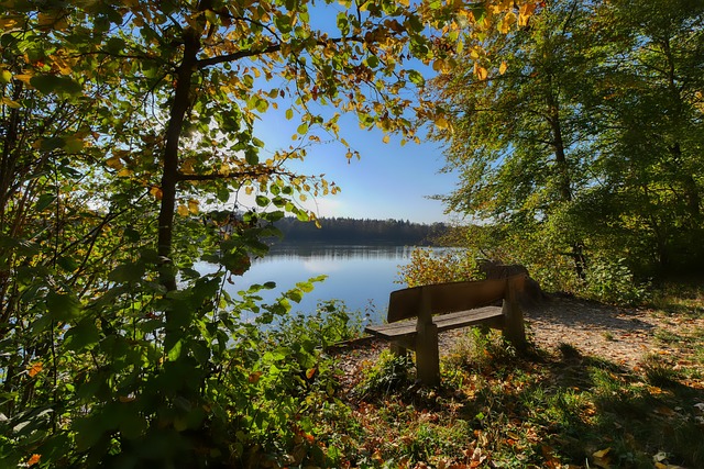 再次点燃了 再次点燃了