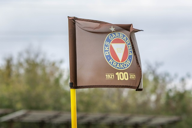 还在联盟中 还在联盟中