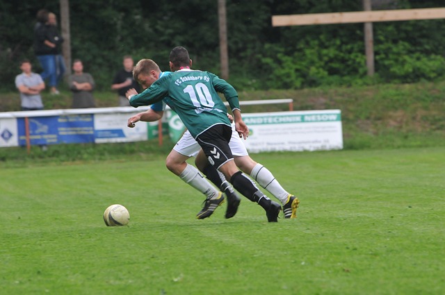 中卫职责 中卫职责