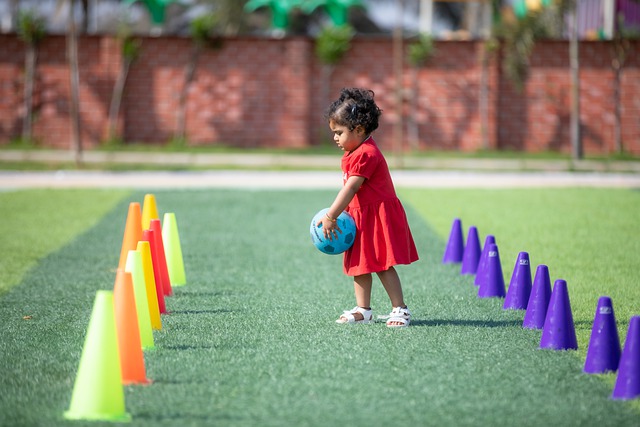 S沙辛尼亚 S沙辛尼亚