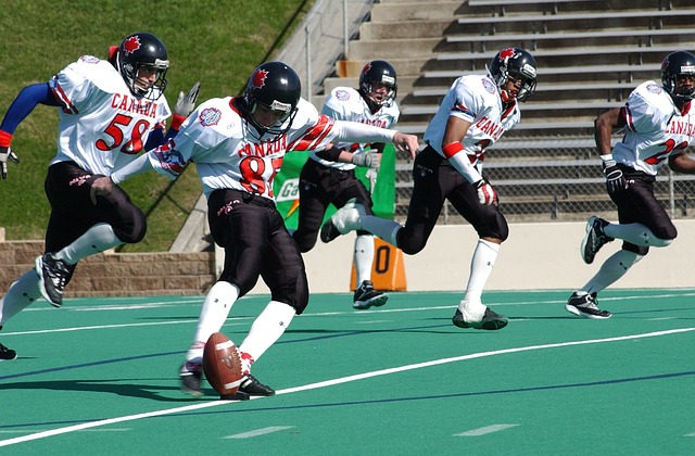 这一日历的 这一日历的