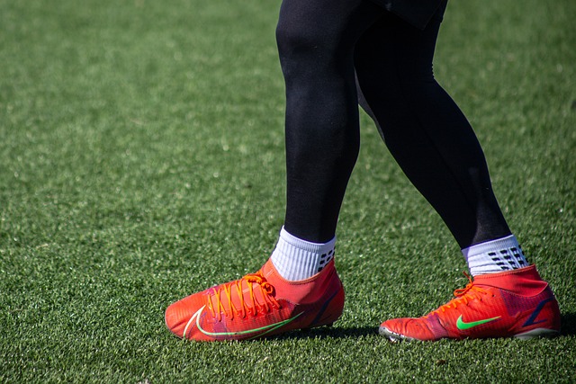 未来的启示 未来的启示