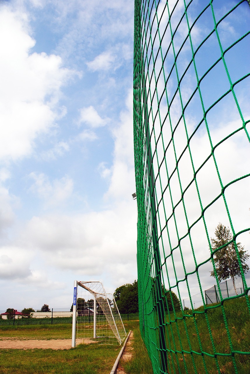 本土球员在 本土球员在