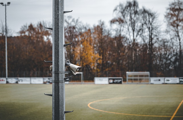 球員在運動 球員在運動