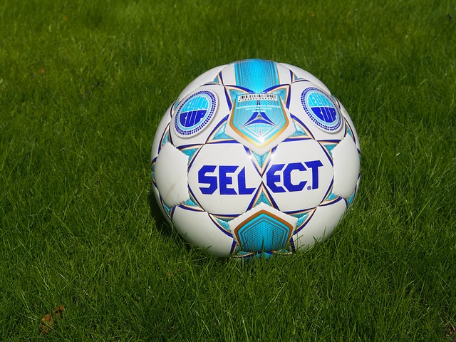 人推动的 人推动的