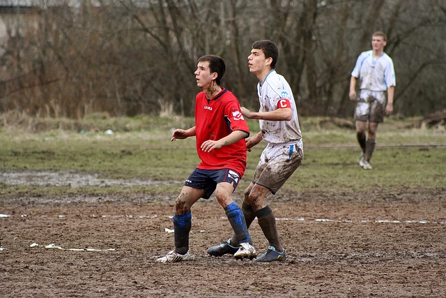 率和传接效 率和传接效