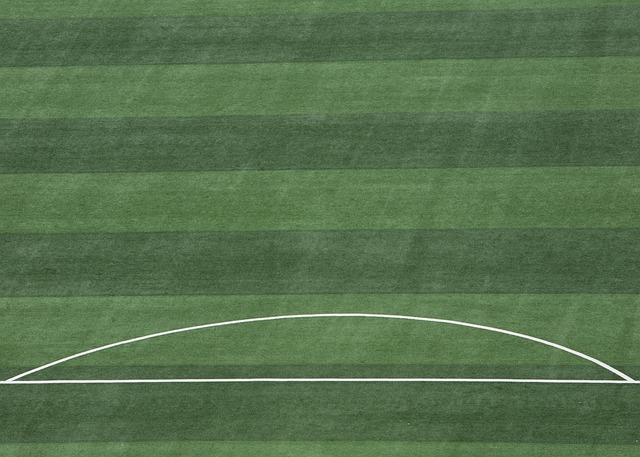 隊的專業投 隊的專業投